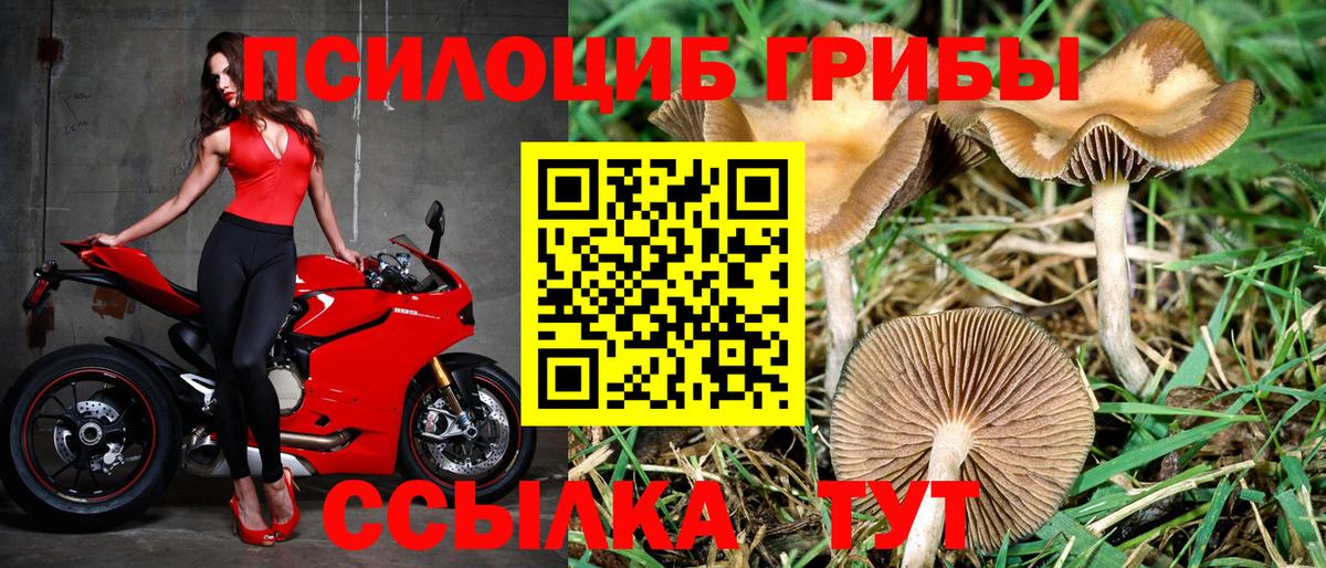 Галлюциногенные грибы прущие грибы Коммунар